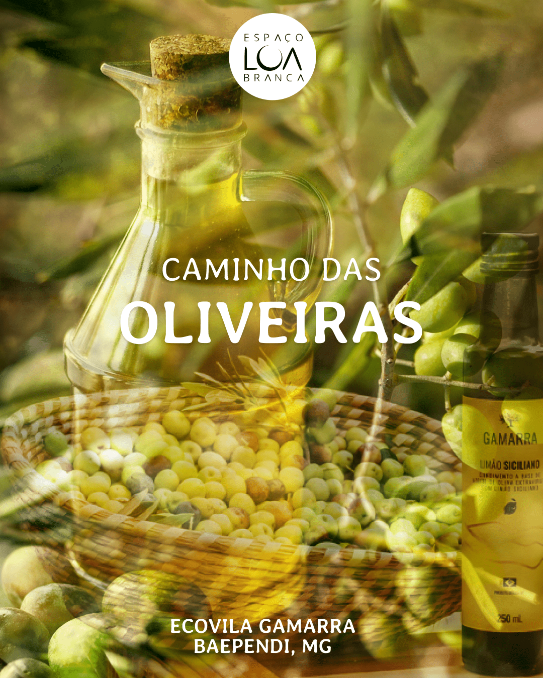 [Cover] Caminho das Oliveiras